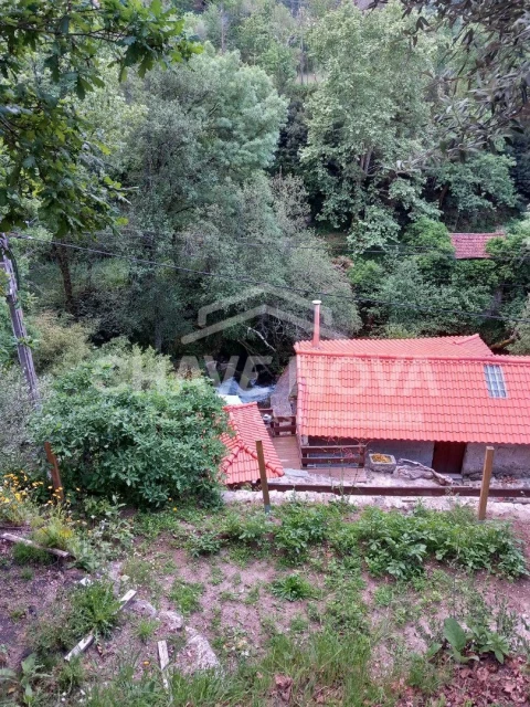 Quinta T4 para Venda em Travassos