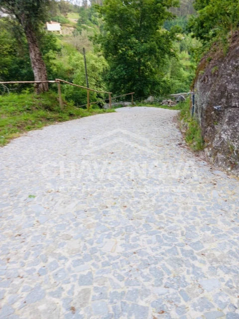 Quinta T4 para Venda em Travassos