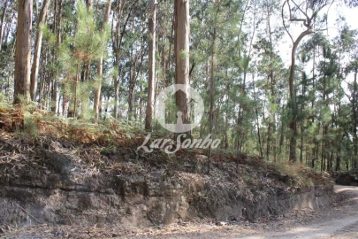 Terreno Agricola ou Rústico para Venda em Galegos (Santa Maria)