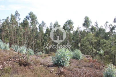 Terreno Agricola ou Rústico para Venda em Galegos (Santa Maria)