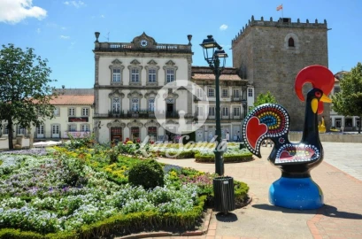 Terreno Agricola ou Rústico para Venda em Galegos (Santa Maria)