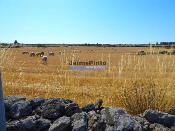 Terreno Agricola ou Rústico para Venda em Figueira de Castelo Rodrigo