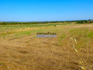 Terreno Agricola ou Rústico para Venda em Figueira de Castelo Rodrigo