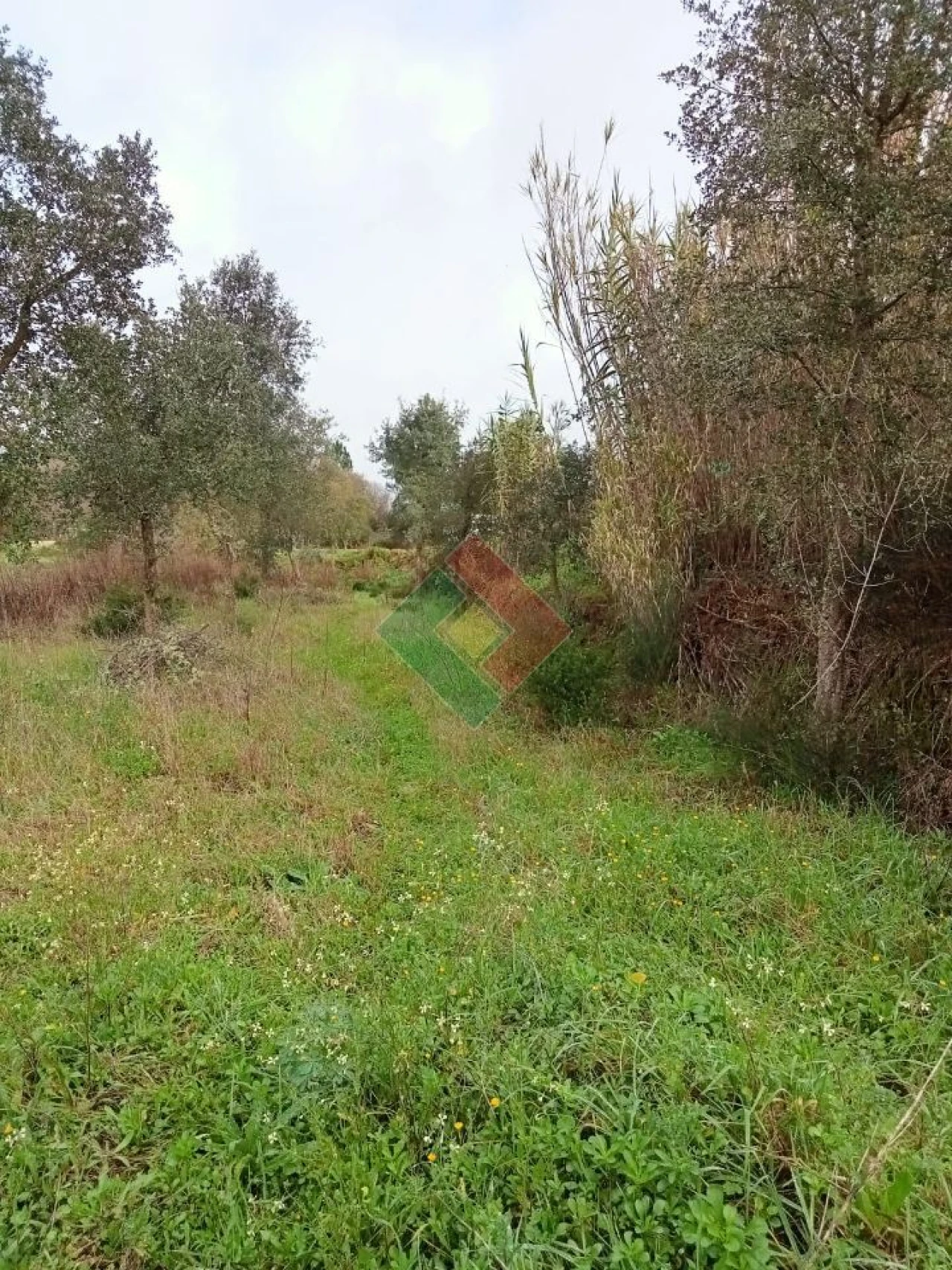 Terreno Agricola ou Rústico para Venda em Longomel Foto 1