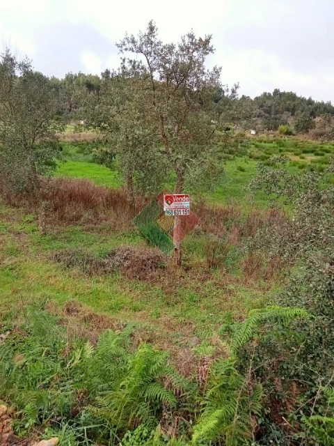 Terreno Agricola ou Rústico para Venda em Longomel