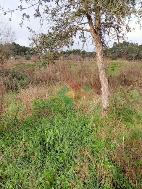 Terreno Agricola ou Rústico para Venda em Longomel