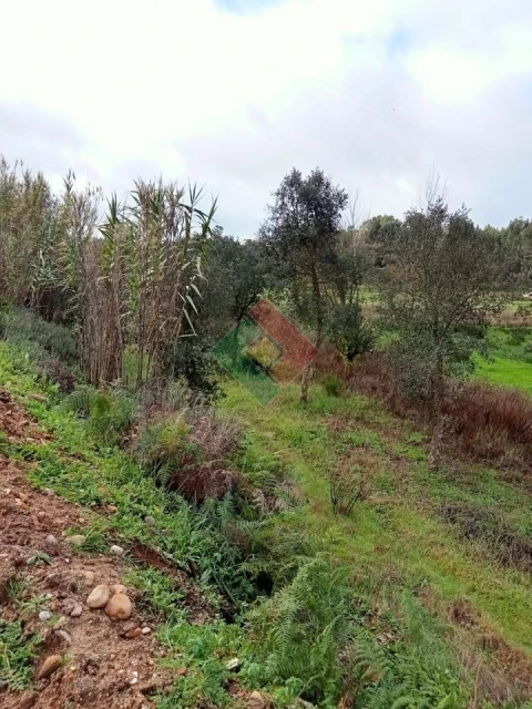Terreno Agricola ou Rústico para Venda em Longomel