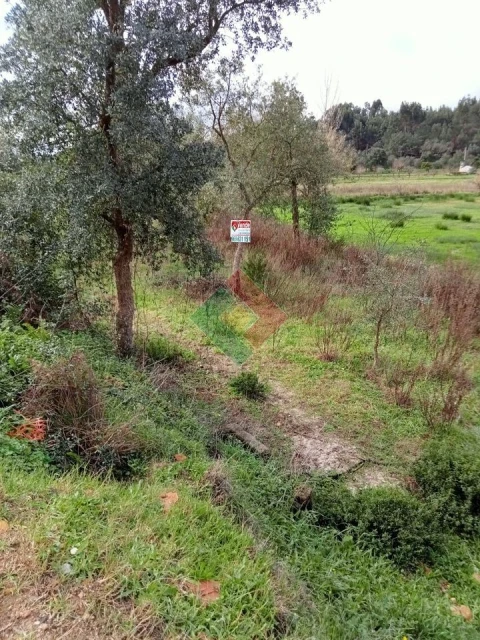 Terreno Agricola ou Rústico para Venda em Longomel
