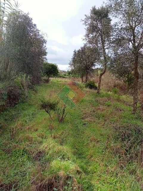 Terreno Agricola ou Rústico para Venda em Longomel