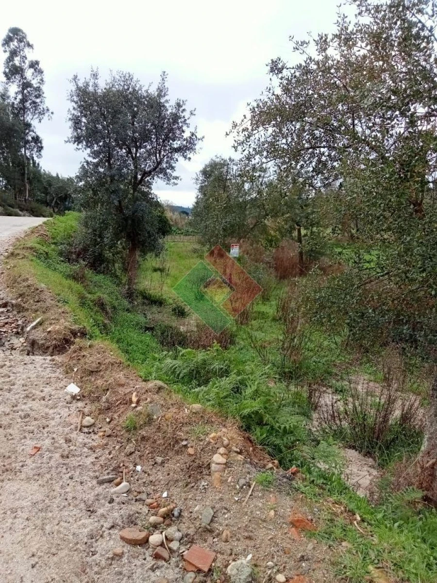 Terreno Agricola ou Rústico para Venda em Longomel Foto 3