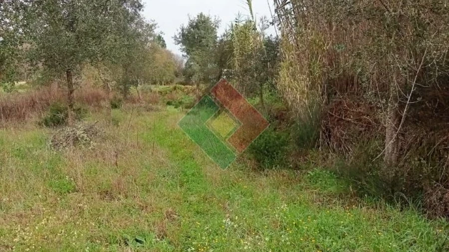 Terreno Agricola ou Rústico para Venda em Longomel