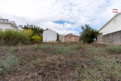 Terreno P/ Prédio para Venda em Nossa Senhora da Piedade