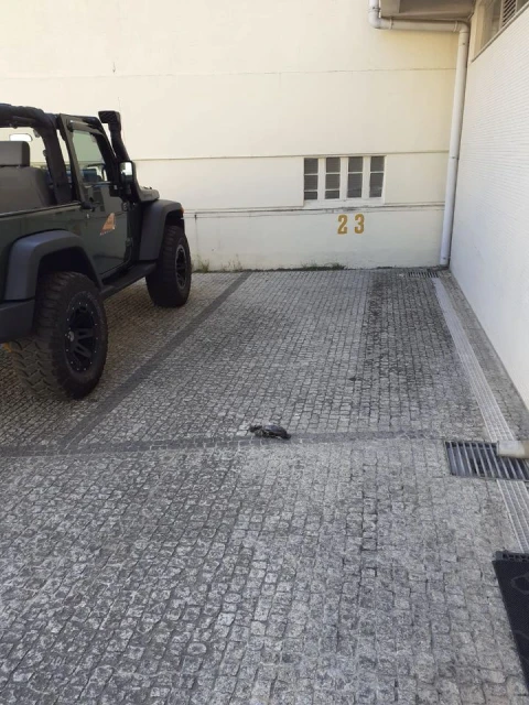 Apartamento T1 para Venda em Cedofeita, Santo Ildefonso, Sé, Miragaia, São Nicolau e Vitória