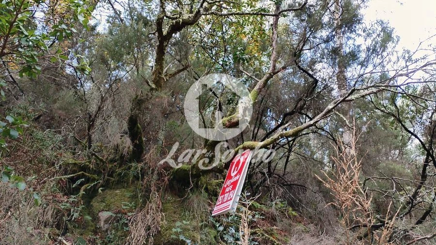 Terreno Agricola ou Rústico para Venda em Vilar da Veiga