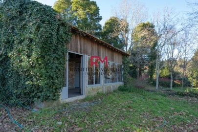 Quinta T9 para Venda em Paredes