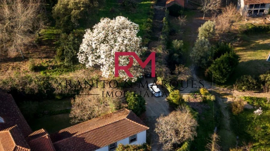Quinta T9 para Venda em Paredes