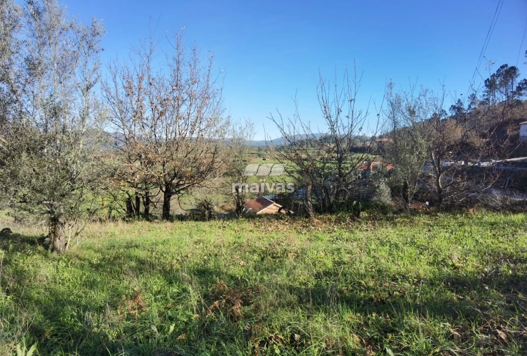 Terreno Misto para Venda em Sobradelo da Goma Foto 18