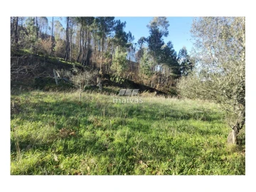 Terreno Misto para Venda em Sobradelo da Goma