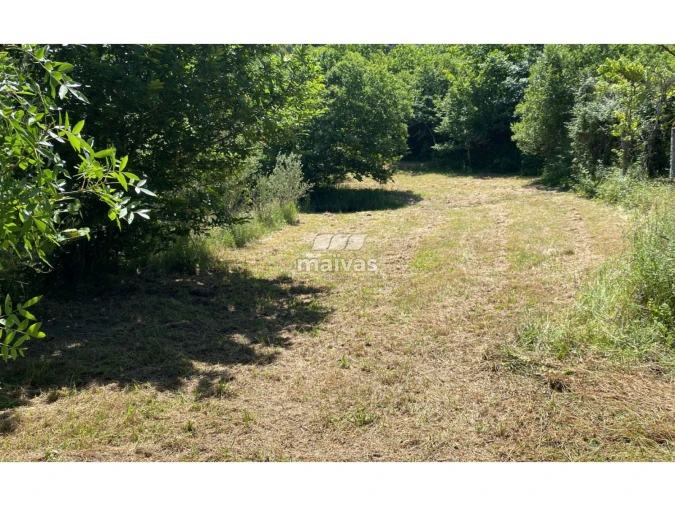 Terreno Misto para Venda em Sobradelo da Goma Foto 13