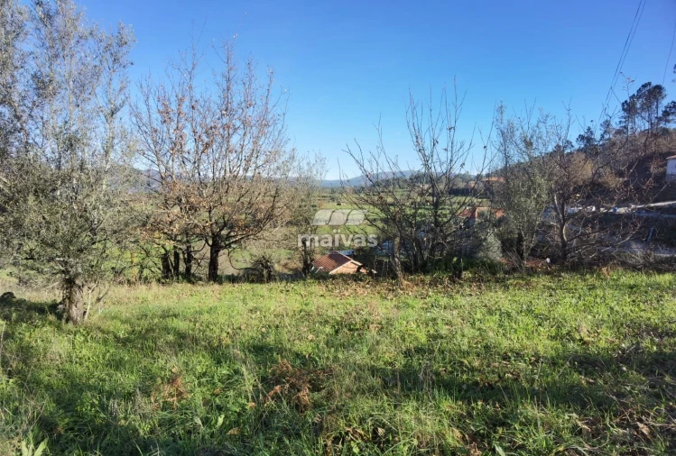 Terreno Misto para Venda em Sobradelo da Goma Foto 18
