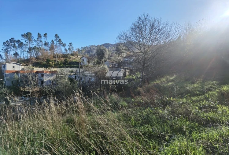 Terreno Misto para Venda em Sobradelo da Goma Foto 21