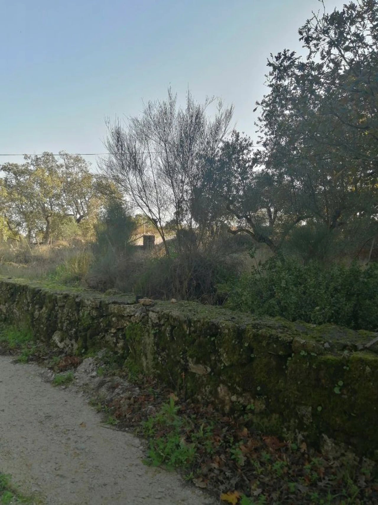 Quinta T0 para Venda em Santo Antonio das Areias Foto 2