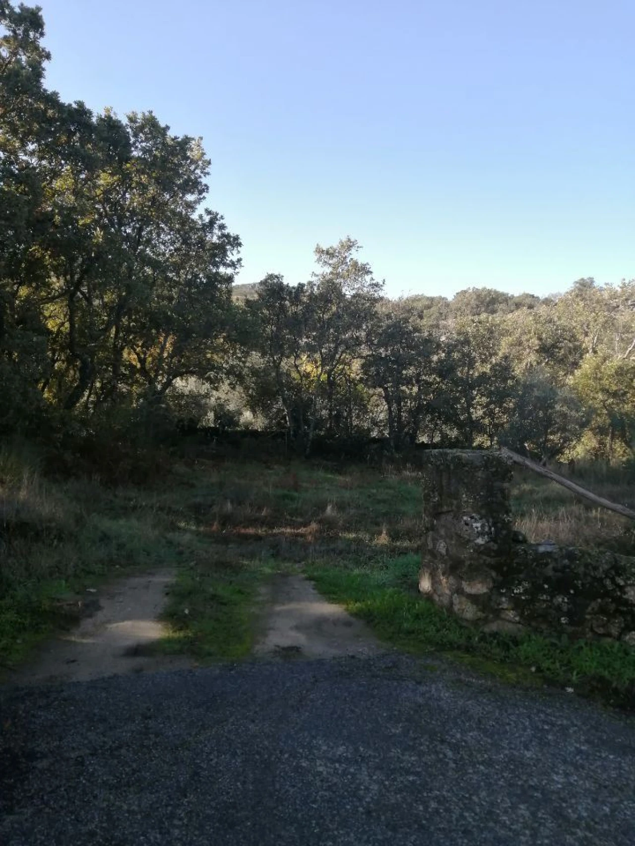 Quinta T0 para Venda em Santo Antonio das Areias Foto 5
