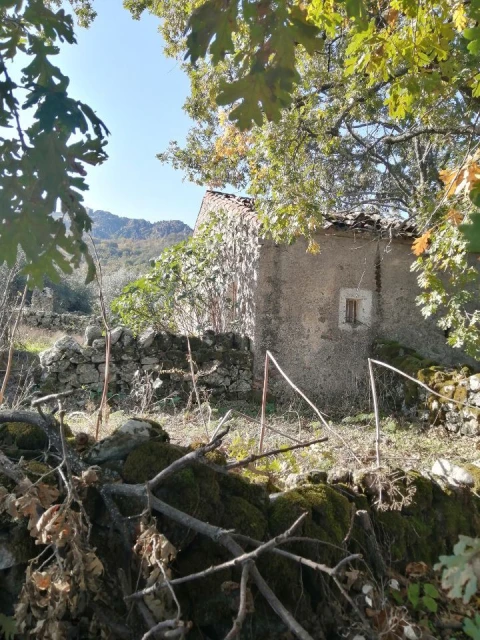 Quinta T0 para Venda em Santo Antonio das Areias