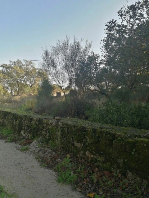 Quinta T0 para Venda em Santo Antonio das Areias