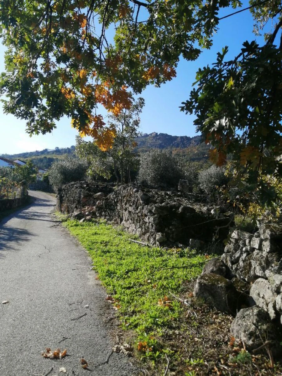 Quinta T0 para Venda em Santo Antonio das Areias Foto 3