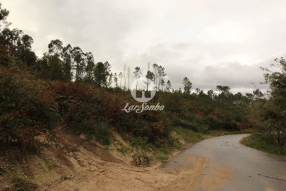 Terreno Agricola ou Rústico para Venda em Agilde
