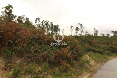 Terreno Agricola ou Rústico para Venda em Agilde