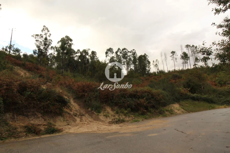 Terreno Agricola ou Rústico para Venda em Agilde Foto 6