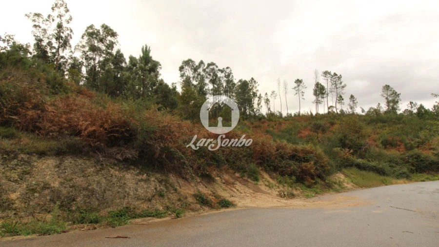 Terreno Agricola ou Rústico para Venda em Agilde