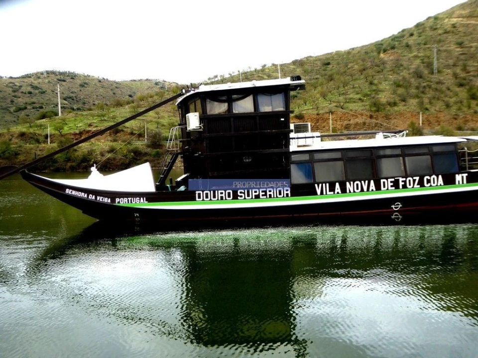 Terreno Agricola ou Rústico para Venda em Vila Nova de Foz Côa Foto 9
