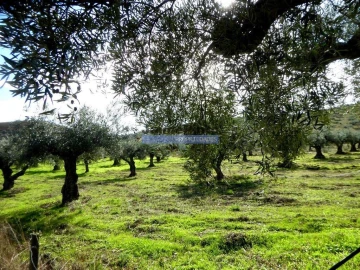 Terreno Agricola ou Rústico para Venda em Vila Nova de Foz Côa