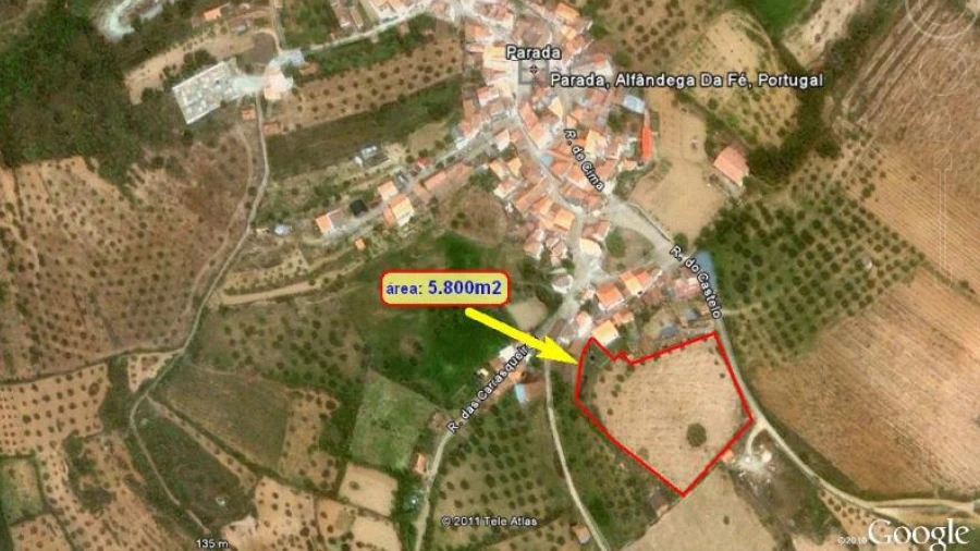 Quinta para Venda em Parada e Sendim da Ribeira