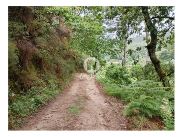 Terreno Agricola ou Rústico para Venda em Vilar da Veiga
