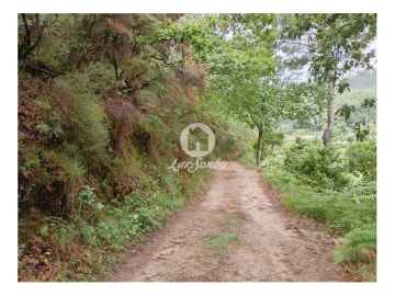 Terreno Agricola ou Rústico para Venda em Vilar da Veiga