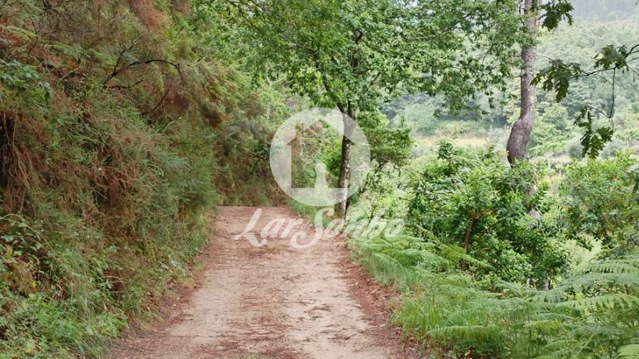 Terreno Agricola ou Rústico para Venda em Vilar da Veiga