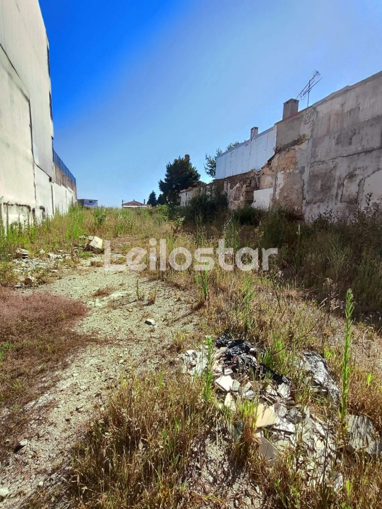 Terreno P/ Prédio para Venda em Oliveira do Douro Foto 2
