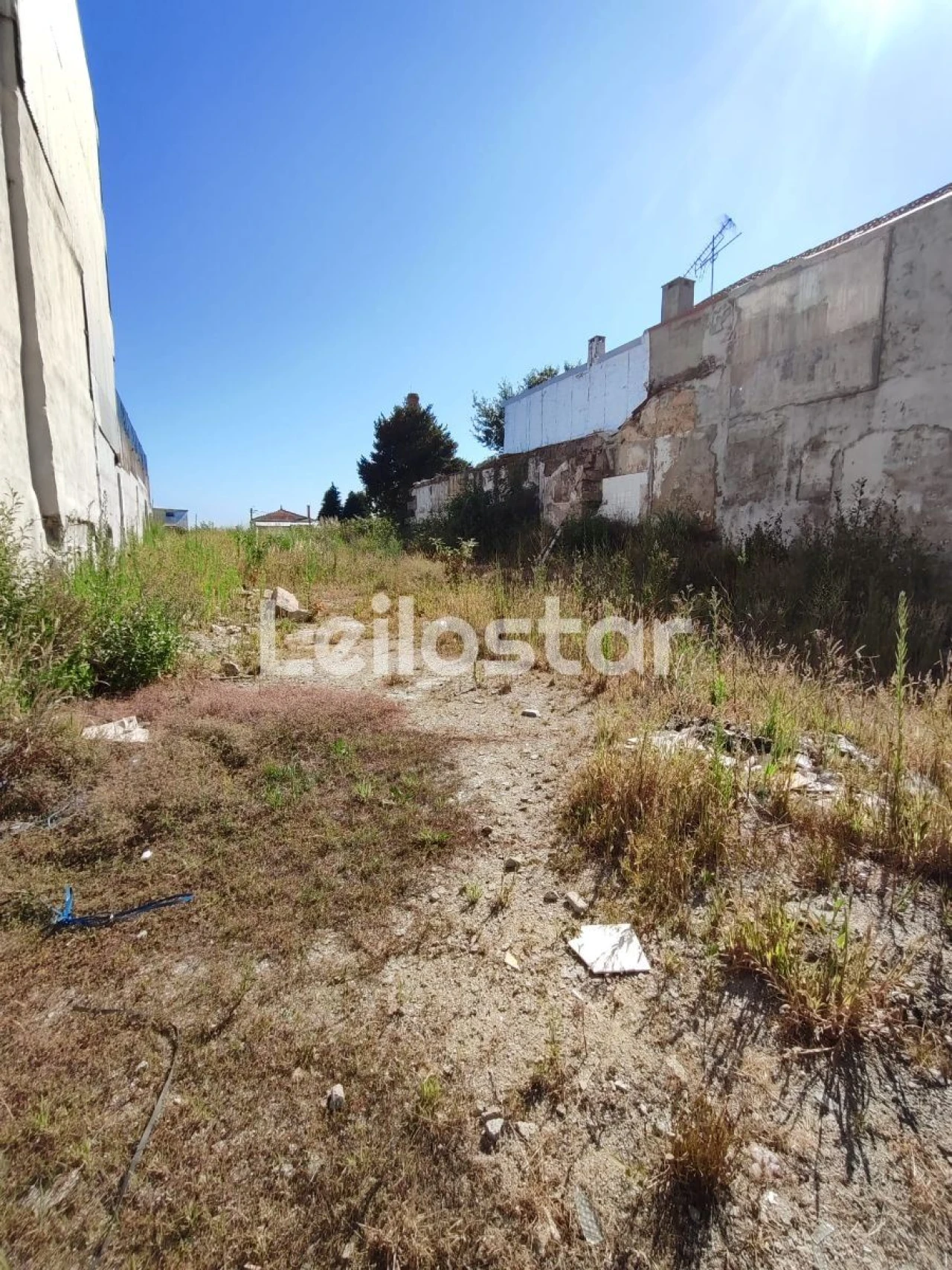 Terreno P/ Prédio para Venda em Oliveira do Douro Foto 4