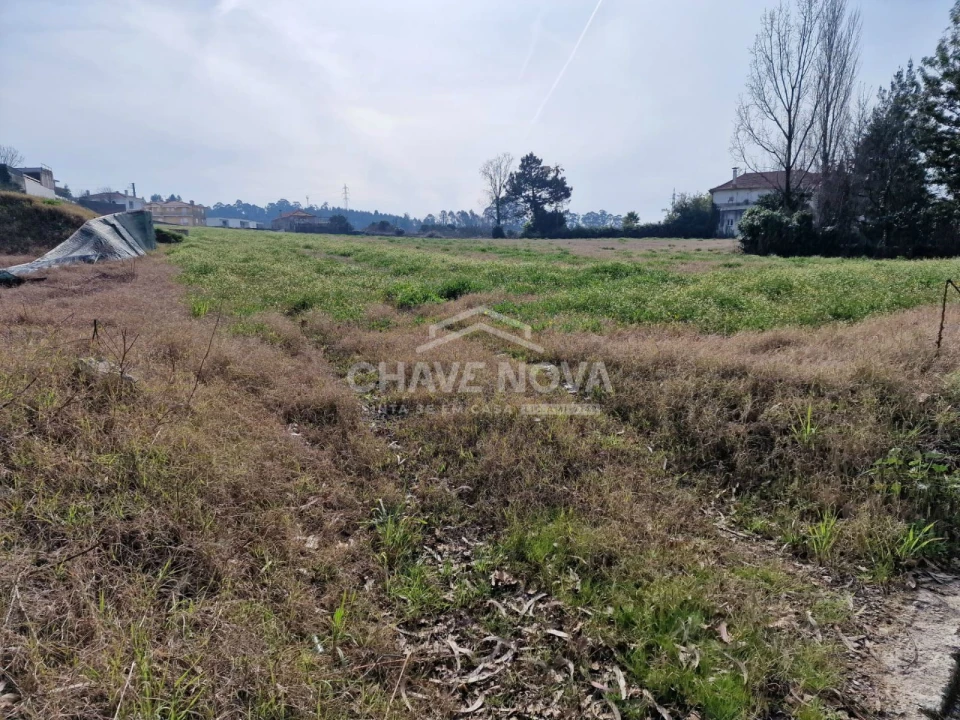 Terreno P/ Prédio para Venda em Muro Foto 1