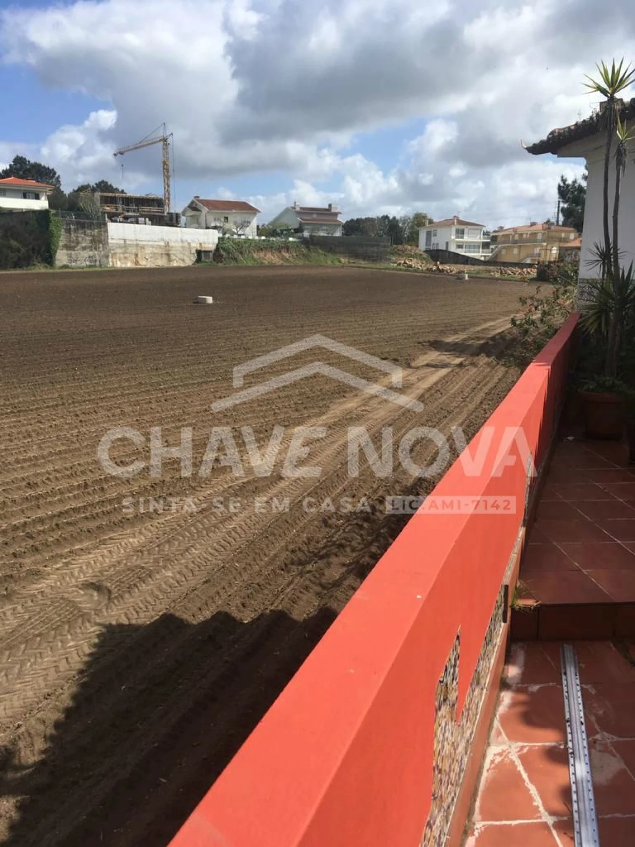 Terreno P/ Prédio para Venda em Muro Foto 9