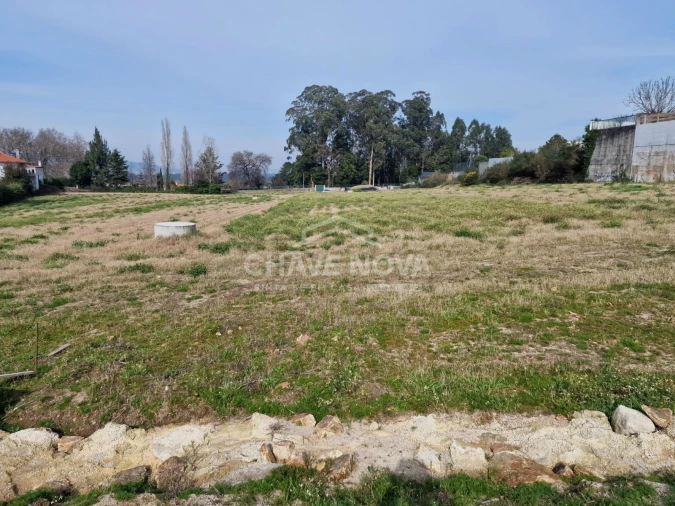 Terreno P/ Prédio para Venda em Muro Foto 5