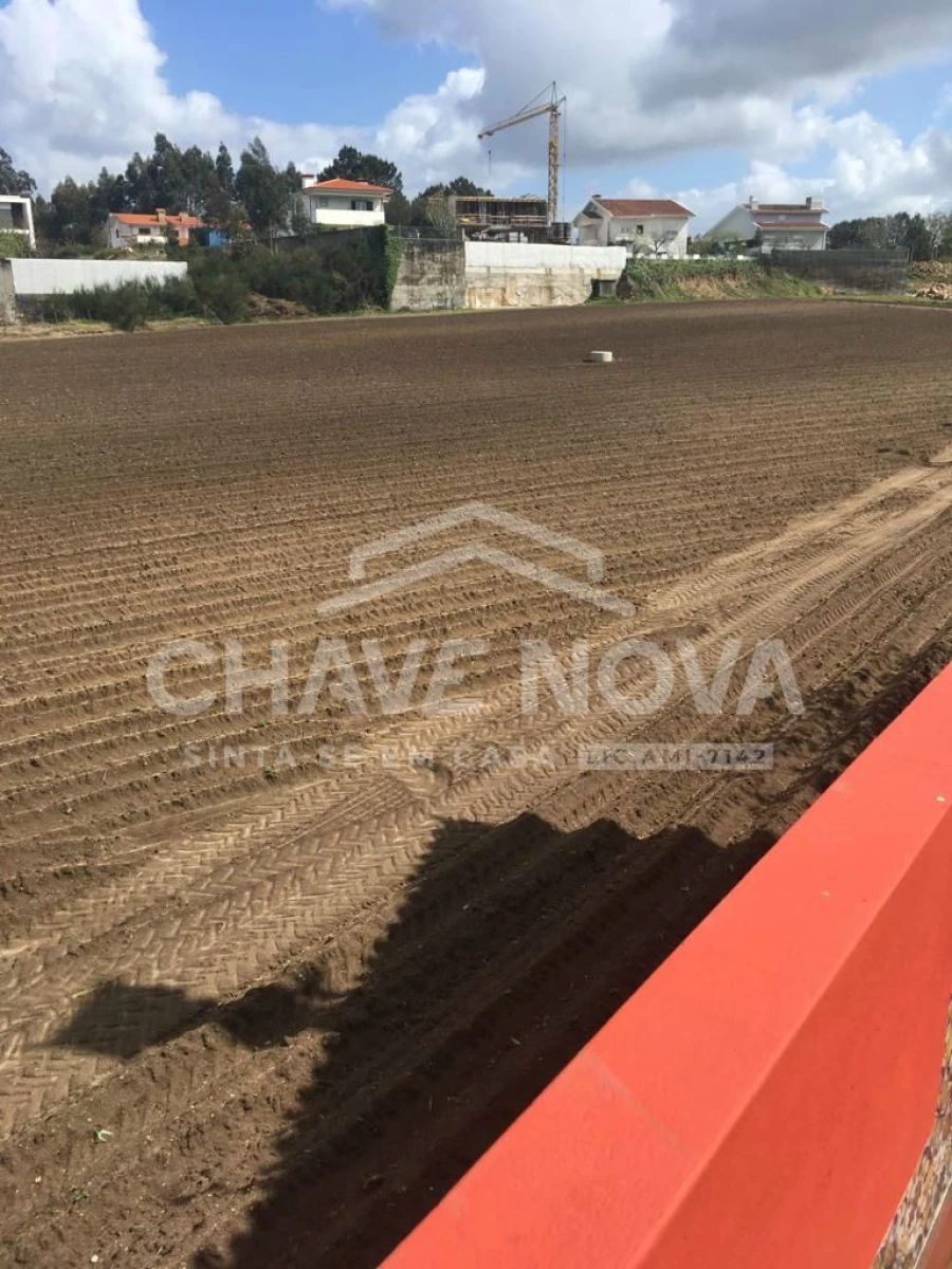 Terreno P/ Prédio para Venda em Muro Foto 6