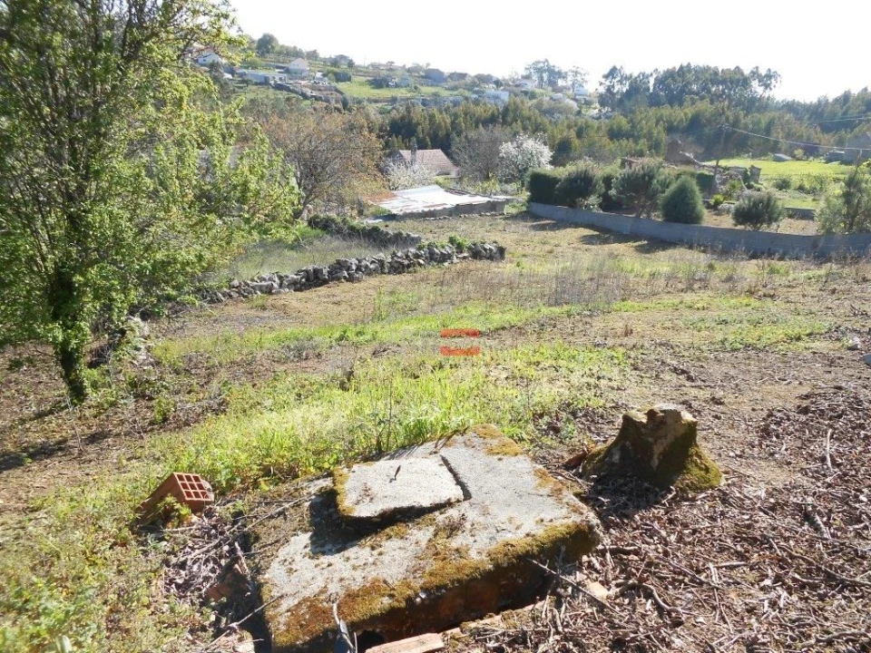 Moradia T3 para Venda em São Mamede Foto 7