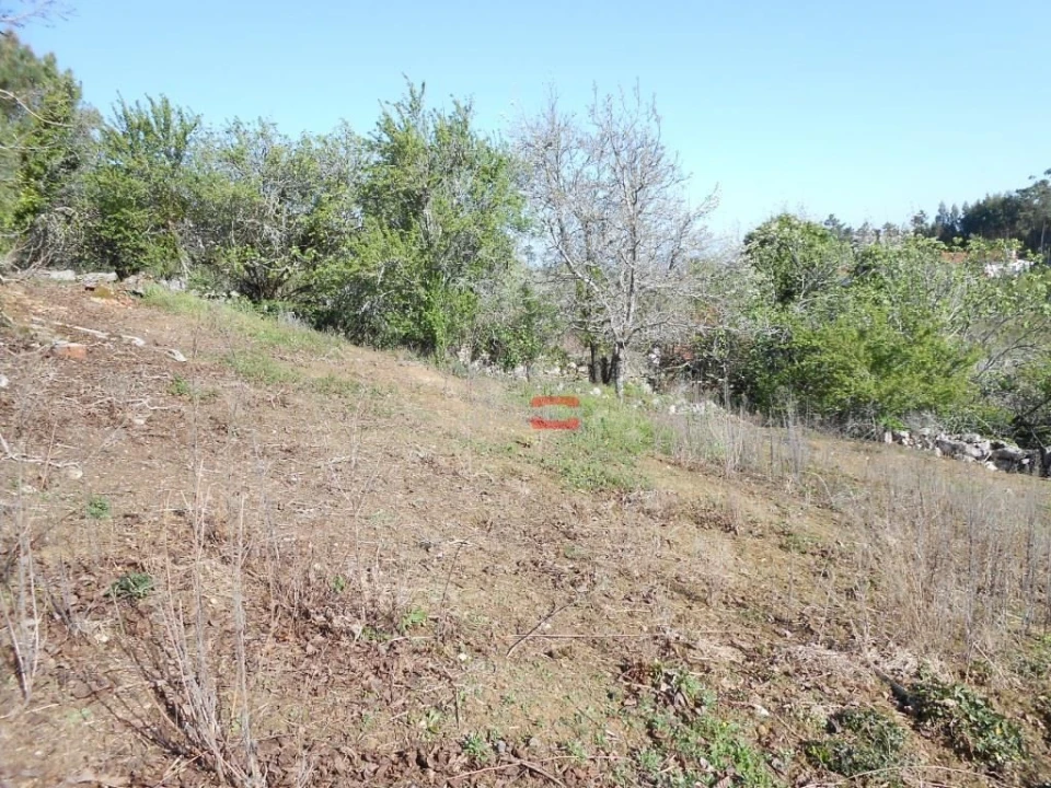 Moradia T3 para Venda em São Mamede Foto 11