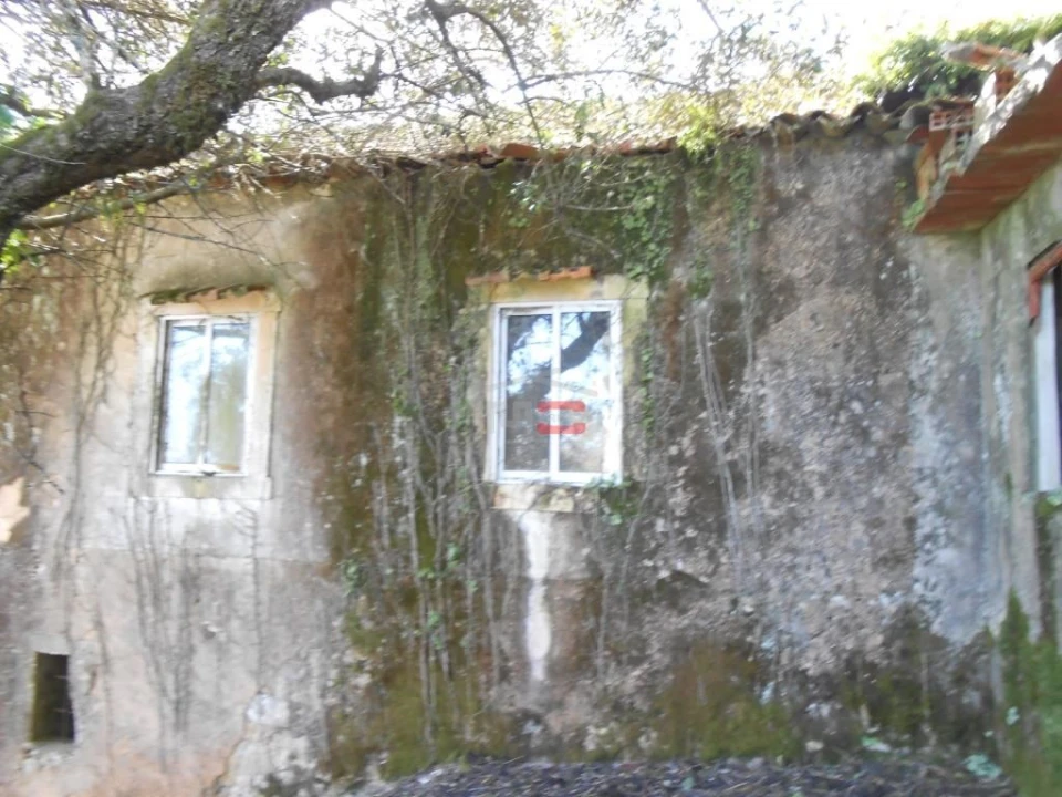 Moradia T3 para Venda em São Mamede Foto 14