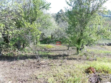 Moradia T3 para Venda em São Mamede